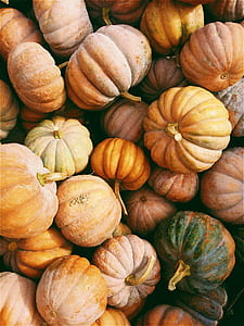 squash lot thumbnail
