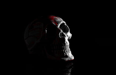 grey skull thumbnail