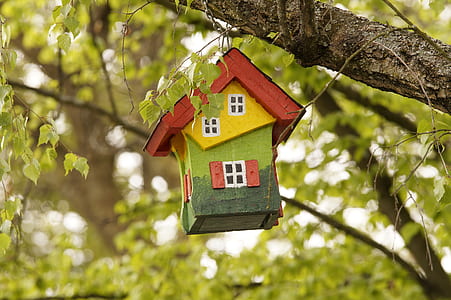 yellow, red, and green wooden birdhouse hanging on tree thumbnail