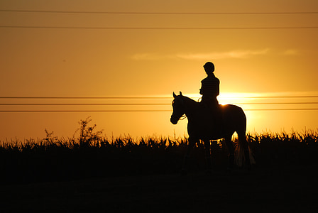 silhouette of person riding horse thumbnail