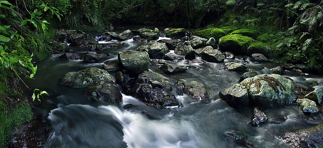 running water in the middle of green trees thumbnail