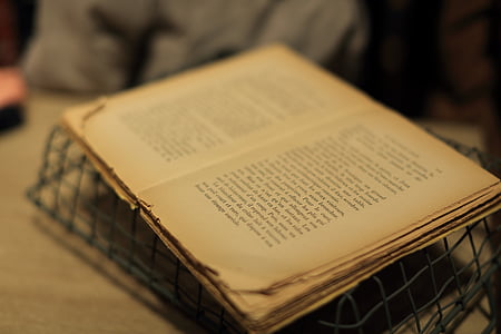 selective focus photography of opened book thumbnail