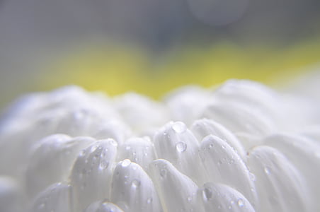 selective focus photo of white textile thumbnail