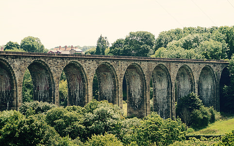 grey concrete bridge between tall trees thumbnail
