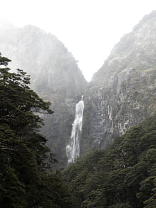 mountains, nature, forest, trees thumbnail