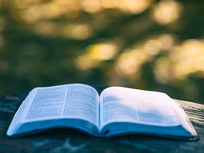 shallow focus photography of open book thumbnail