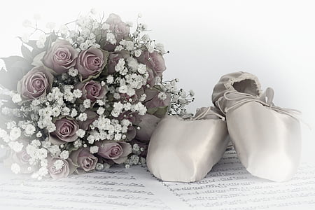 pair of white ballet shoes beside pink petaled flower thumbnail