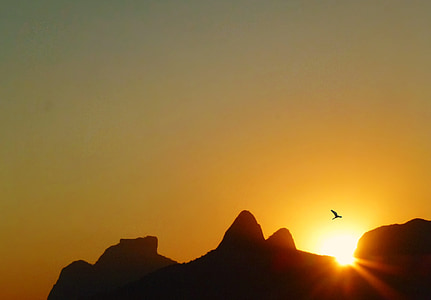 silhouette photography of bird soaring near mountain range thumbnail