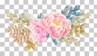 Flower Watercolor painting, Peony flower watercolor painted floral elements, pink peony flowers painting PNG clipart