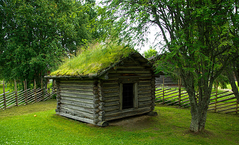 brown wooden house near tree thumbnail