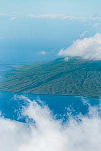 aerial photography of forest thumbnail