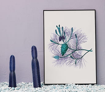Cacti And Frame thumbnail
