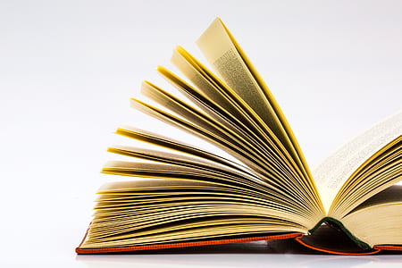 opened book page thumbnail