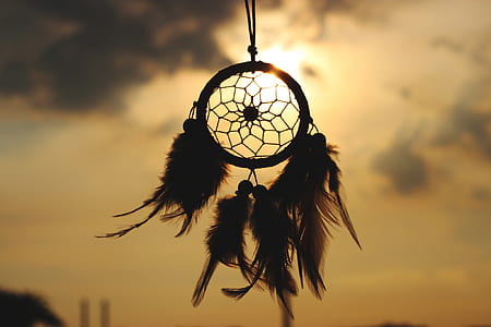 feather dream catcher silhouette thumbnail