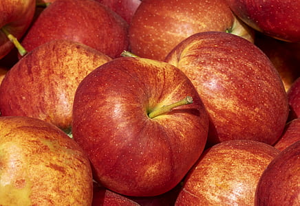 red fruit lot in close-up photography thumbnail