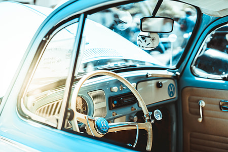 Baby Blue Bug thumbnail
