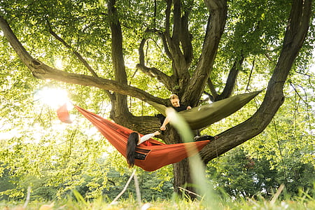 man and woman lying on swings under tree during daytime thumbnail