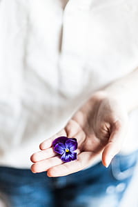 person wearing white shirt holding purple pansy flower thumbnail