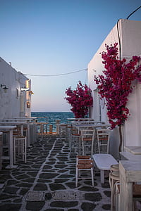 restaurant near ocean thumbnail