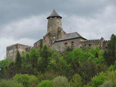 green trees near gray brick castle under gray sky thumbnail