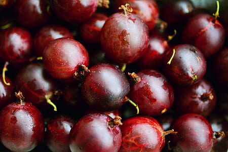 close-up photo of red berries thumbnail