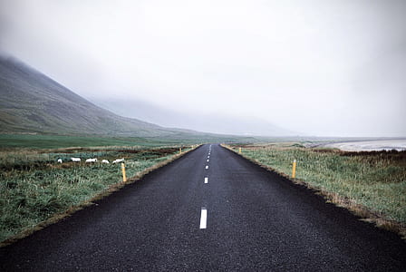 road, dawn, landscape, nature thumbnail