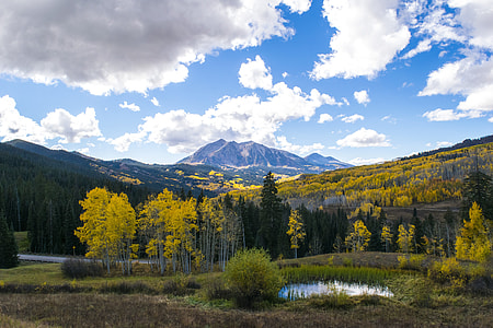 green and beige leaf trees on mountain under blue and white sky at daytime thumbnail