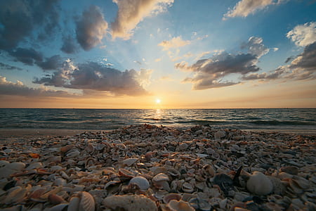 sea, dawn, nature, sky thumbnail