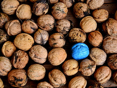 brown nut lot thumbnail