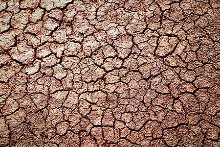 cracked dried soil photo thumbnail