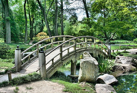 gray wooden bridge over creek in forest during daytime thumbnail