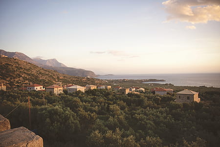 aerial photography of houses near trees and body of water during daytime thumbnail