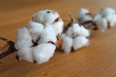 white and brown cotton decor thumbnail