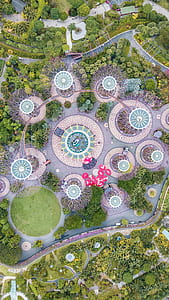 aerial photography of trees thumbnail