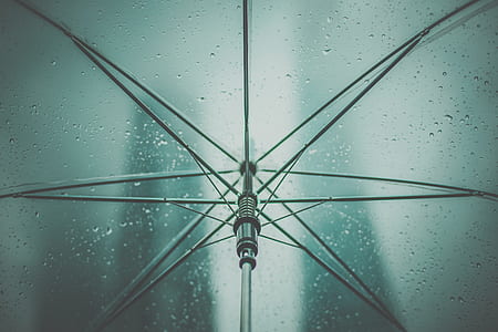 bottom-view of wet clear umbrella thumbnail