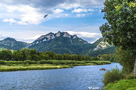 mountain cover with trees thumbnail