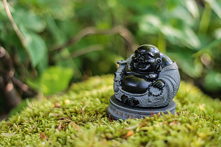 black Budai figurine on green grass thumbnail