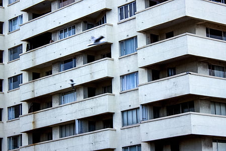 gray concrete building at daytime thumbnail