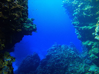 underwater photo during daytime thumbnail