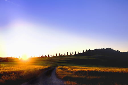 road in between of green grasslands thumbnail