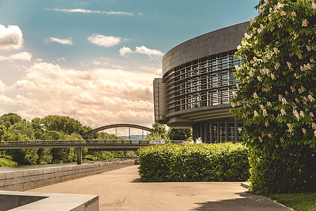 green leafed plants near gray building structure thumbnail
