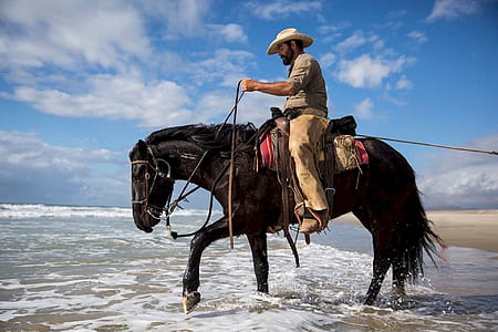 man riding horse during daytime thumbnail