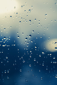 microscope photography of water dews thumbnail
