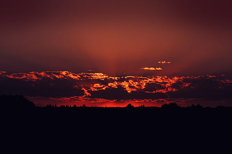 silhouette photo of trees and red sky thumbnail