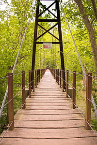 bridge, park, architecture, wooden thumbnail