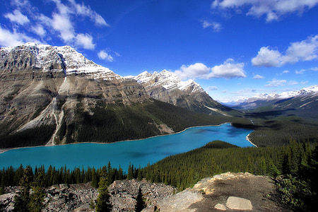 river in forest under blue sky nature photography thumbnail