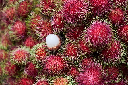 bunch of rambutans thumbnail