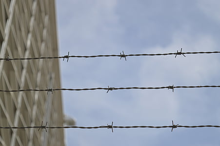 selective focus photography of barbwire thumbnail