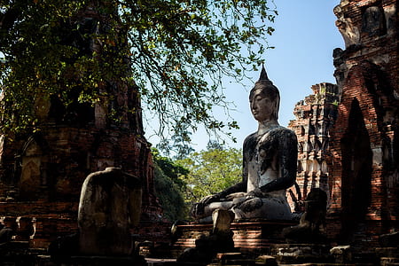 Buddha statue near trees thumbnail