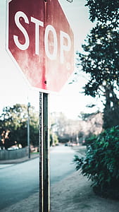 red and white stop road signage thumbnail